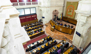 La oposición a la Junta de Andalucía, presidida por Juanma Moreno con mayoría absoluta, ha dado a conocer sus enmiendas al presupuesto sanitario para 2026