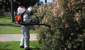 Declarado en Huelva el primer foco de fiebre del Nilo de 2021