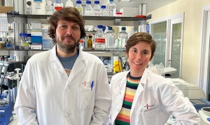 Descubierta una molécula que conecta rendimiento cognitivo y metabolismo