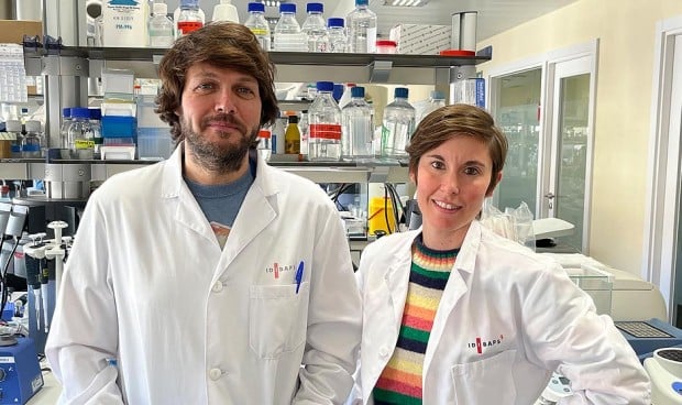 Descubierta una molécula que conecta rendimiento cognitivo y metabolismo