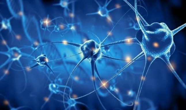 Descubierto un potencial biomarcador en la piel de los pacientes con ELA