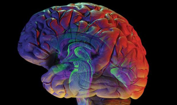 Descubren cmo el cerebro se 'protege' para no heredar el trastorno bipolar