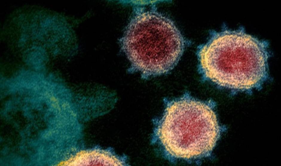 Detectan en Galicia una variante covid que combina los dos tipos de Ómicron