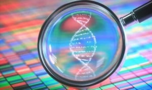 La técnica Crispr permite modificar el genoma y eliminar genes especificos