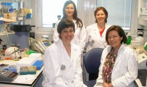 El aceite virgen extra actúa de modulador de la microbiota intestinal