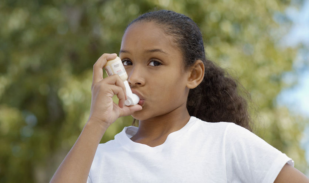 El asma cuesta a Espa�a 1.872 millones de euros
