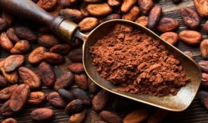 El cacao recupera la microbiota alterada por la diabetes tipo 2