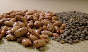 El Ciberobn estudia los efectos de las legumbres para prevenir el cáncer