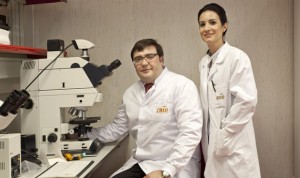 El CNIO confirma el nexo entre un cáncer de próstata y uno de mama