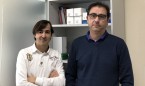 El colesterol 'bueno', posible biomarcador de aneurisma aórtico abdominal