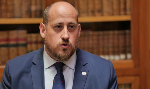 El Congreso acuerda agilizar la llegada de Vyjuvek para la piel de mariposa