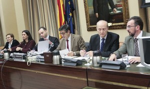 El Congreso baraja hasta cinco Comisiones de Sanidad antes de verano