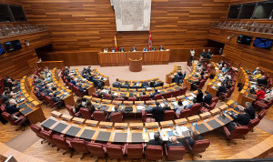 El consejero y tres diputados asisten una urgencia médica en Las Cortes