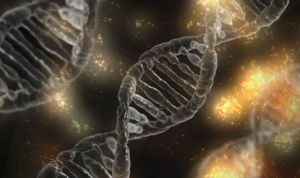 El 'corta-pega' genético puede causar mayor daño celular del que se creía