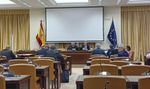 Debate sobre el cribado neonatal en la Comisión de Sanidad del Congreso