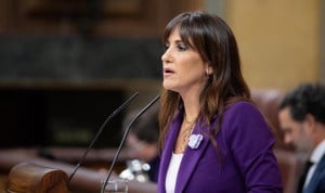Inés Plaza, diputada del PSOE que defiende la unificación de los programas de cribado neonatal