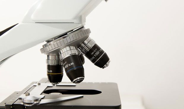 El CSIC identifica una nueva diana contra la metstasis en colon y melanoma