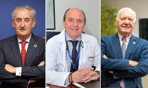 Tomás Cobo (OMC), Jon Guajardo (Sedisa) y Florentino Pérez Raya (CGE) hablan de la ausencia en consultas.