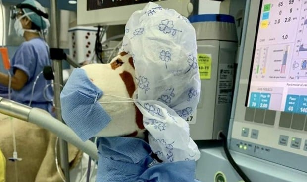 El emocionante gesto de un enfermero a un niño en quirófano