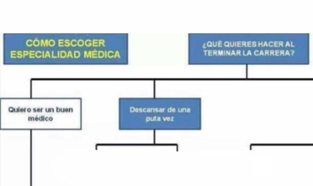 El esquema 'definitivo' para elegir especialidad MIR, según tus prioridades