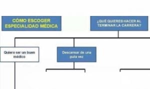 El esquema 'definitivo' para elegir especialidad MIR, según tus prioridades