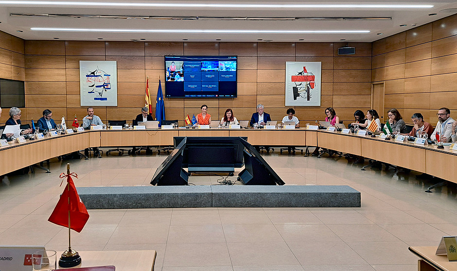 La Comisión de Recursos Humanos aborda la financiación del Estatuto Marco. 