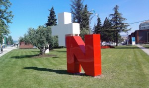 El Gobierno de Navarra aprueba la OPE sanitaria con 1.417 plazas