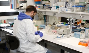 Así se genera la inmunidad contra el hantavirus: depende del lugar del mundo en el que vivas