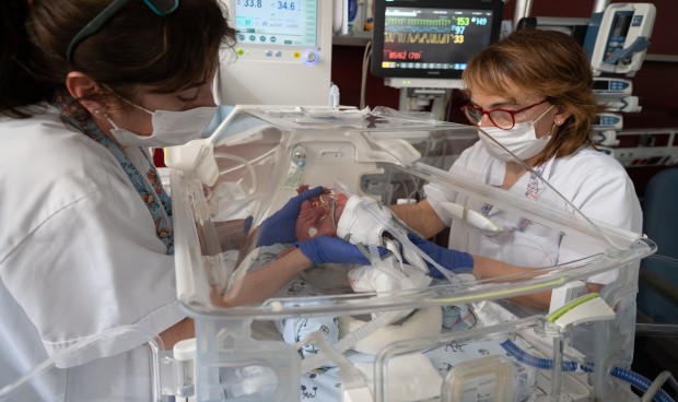 El trasplante de útero abre una brecha entre ONT y hospitales