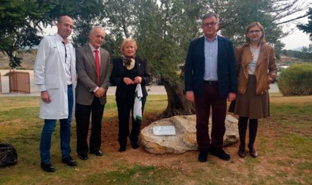 El Hospital de Hellín conmemora la lucha en cáncer en 'El árbol de la vida'