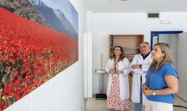 El Hospital Universitario de Jaén ha invertido más de 6.000 euros en obras de remodelación para renovar durante este año las consultas externas destinadas al servicio de Alergología. 