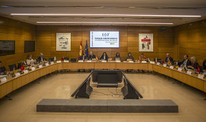 El Interterritorial que debatirá Estatuto Marco y guardias, aplazado 5 días