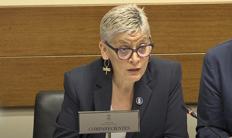 Concepción Saavedra, consejera de Salud del Principado de Asturias, explica que Salud Pública y salud mental estarán reformados en el nuevo mapa sanitario