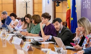 Pleno del Consejo Territorial del Sistema para la Autonomía y Atención a la Dependencia.