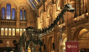 El niño con Asperger que corrigió al Museo de Historia Natural de Londres