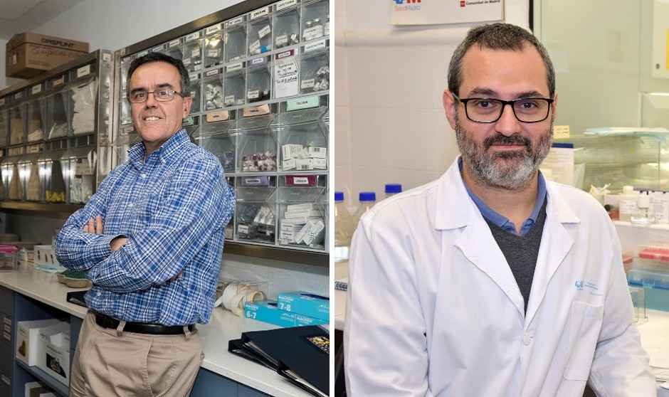 El Niño Jesús prevé su ensayo TIL para tumores sólidos a partir de julio