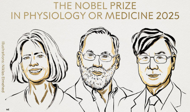Los científicos estadounidenses Mary E. Brunkow y Fred Ramsdell y el japonés Shimon Sakaguchi han sido premiados con el Nobel de Medicina 2025