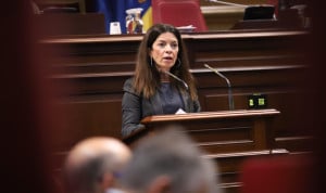 El Parlamento canario pide a Sanidad retirar el borrador del Estatuto Marco