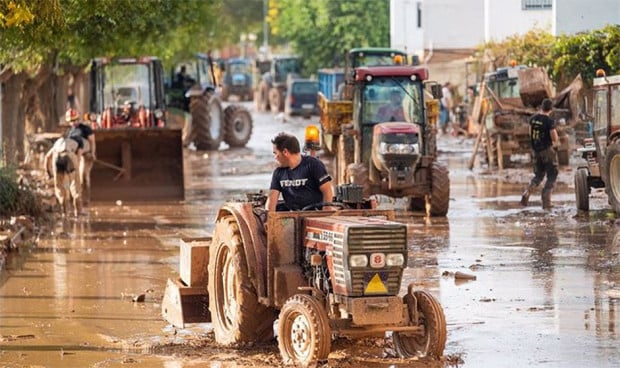 El Gobierno explica su plan de acción para reforzar la atención comunitaria en salud mental ante emergencias