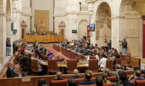 El Pleno del Parlamento de Andalucía ha votado a favor de la Ley de Atención Temprana