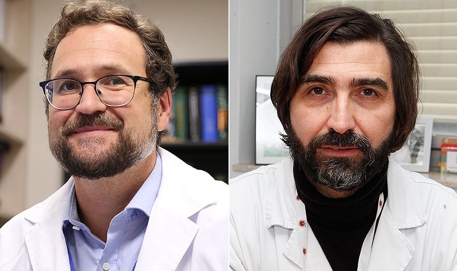 El Proyecto Pencil establece sus 'bases logísticas' 