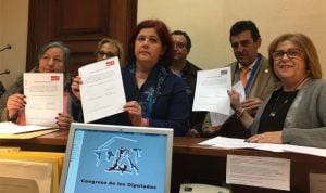 El PSOE exige una "financiación adecuada" al sistema de la Dependencia