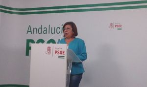 El PSOE pide al Senado que los celiacos puedan acceder al Ejército