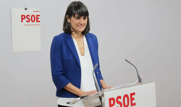 El PSOE se queja de la falta de investigacin sobre enfermedades de mujeres