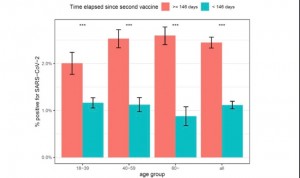 El riesgo de Covid en mayores de 60 crece tras 5 meses vacunados con Pfizer