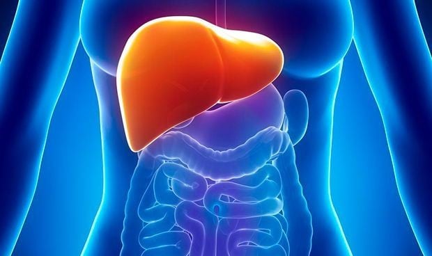 El riesgo de hígado graso se duplica con enfermedades inflamatorias