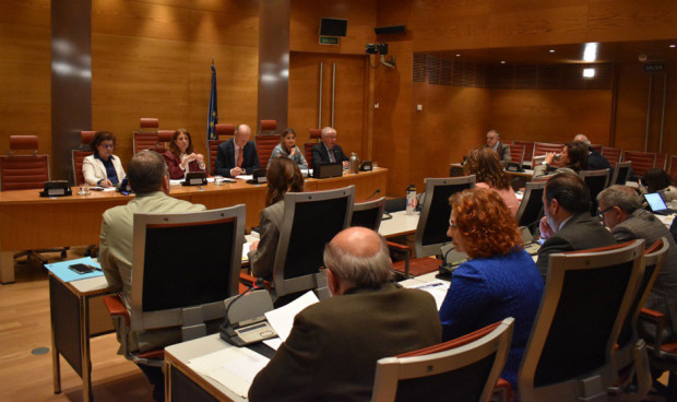 Comisión de Sanidad del Senado, donde se ha impulsado la regulación sobre fármacos pero sin unanimidad