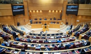 El Senado aprueba una Comisión para investigar los contratos de la pandemia