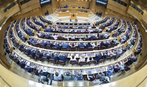 Pleno del Senado, que ha aprobado por unanimidad la Ponencia de estudio sobre salud mental y suicidio