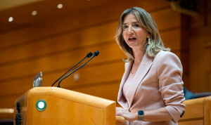  La senadora del PP Alicia García, reprobará a García por el Estatuto Marco.